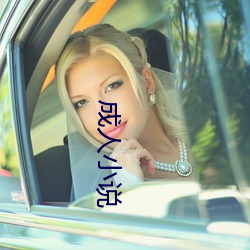 成人小说(shuō)
