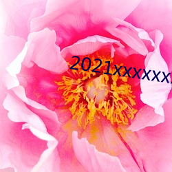 2021xxxxxxxxxxxxxxx