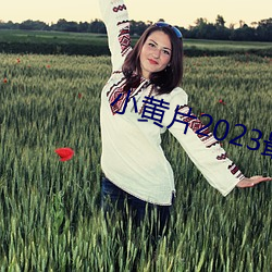 小黃片2023最新版軟件下載