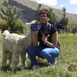 破案小說