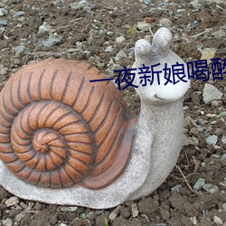一夜新娘喝醉酒是第幾集