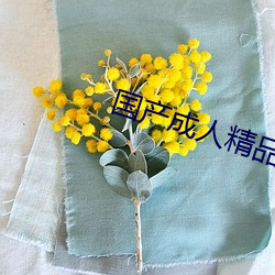 国(國)产成人精品(品)第(第)一区(區)二区三区
