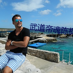 武道(道)帝(帝)魂陈枫全文(文)免(免)费阅读