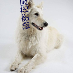 秘密花園入口