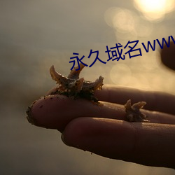 永久域名www4438x22com