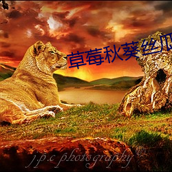 草(cǎo)莓秋葵丝瓜鸭脖(bó)芭(bā)乐