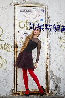 如果特朗普继续当总统