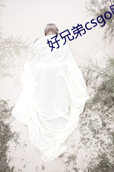 好兄(兄)弟(弟)csgo网站