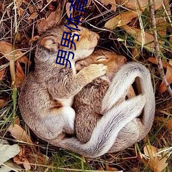 男男體育生gay互吃鳮巴最新章節(夢無言(書坊))