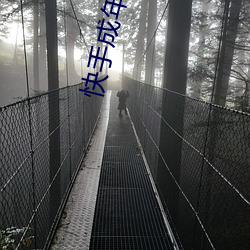 快手成年版app入口