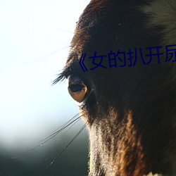 《女的扒开尿口让男人桶30分钟》
