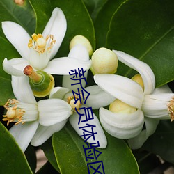 新(新)会员体验区试看120秒(秒)免费免(免)费(費)版下(下)载