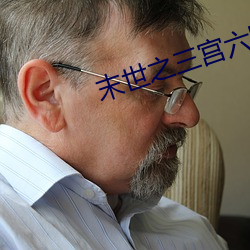 末世(世)之三(三)宫六院(院)