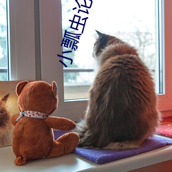 小(xiǎo)瓢(piáo)虫论坛入口