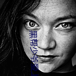 黑帮少爷爱上我小说(說)中字在