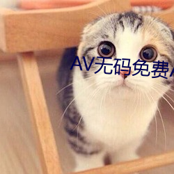 av无码免费app
