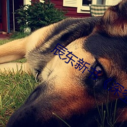 辰东新书《深空彼岸》 小说