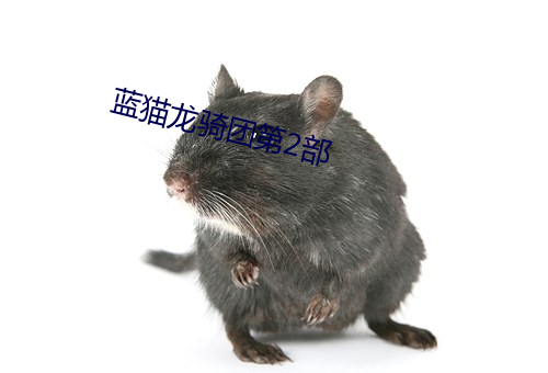 蓝猫龙骑团第2部