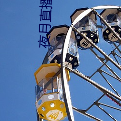 夜月直播yy55app