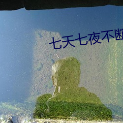 七天七(七)夜不断的(的)承欢叶(葉)楚