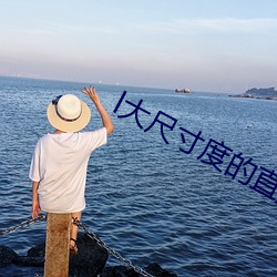 l大尺寸度的直播平台下载