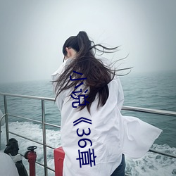 小说《36章