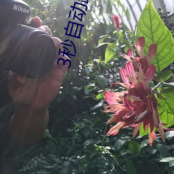 3秒自动跳(跳)转(轉)入(入)口无(無)需(需)下(下)载