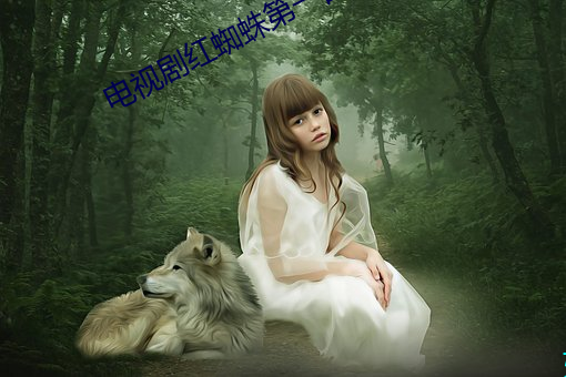 电视(shì)剧红蜘蛛第一(yī)部免(miǎn)费全(quán)
