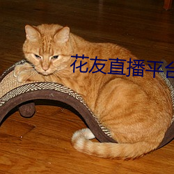 花友直播平台