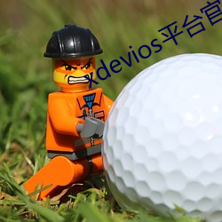 xdevios平台wepoker官网入口