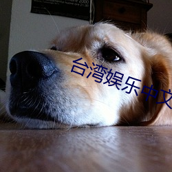 台灣娛樂中文網