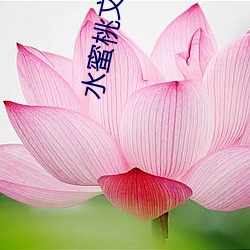 水蜜(蜜)桃文化传媒