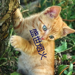 盛世烟(煙)火