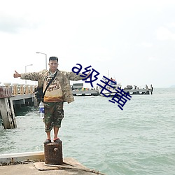 a级毛黄