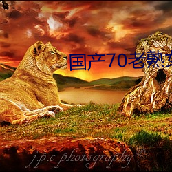 國産70老熟女重口小夥子