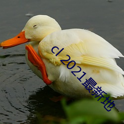 cl 2021最新地