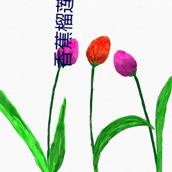 香蕉榴莲秋葵茄子草莓(méi)丝瓜