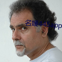 名媛445app下載