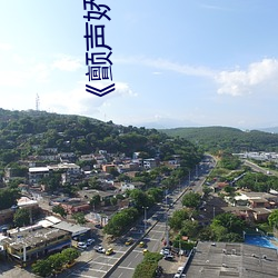 《顫聲嬌》全文免費閱讀
