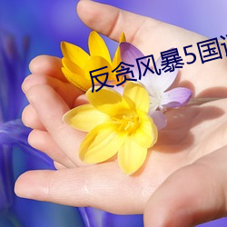 反贪风暴5国语完整版免费