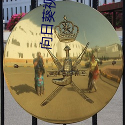 向日(日)葵视频在线(線)观看免费(費)