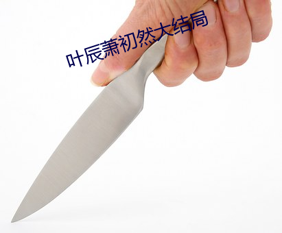 叶辰萧初然大结局