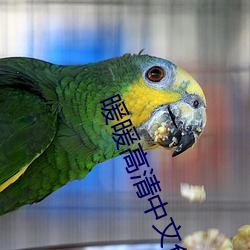 暖暖高清中文免费
