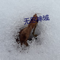 无尽(盡)神域