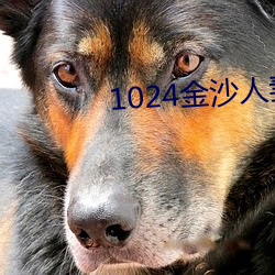 1024金(金)沙人妻(妻)旧片(片)你懂(懂)的(的)