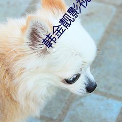 韩金靓影视