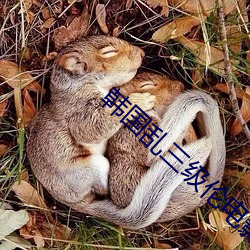 韓國亂三級倫電影在線播放