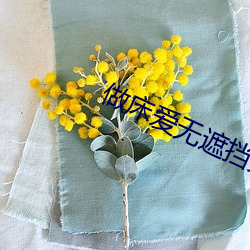 做(做)床爱(愛)无遮挡免费视频软(軟)件
