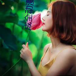 成全动漫视频在线观看