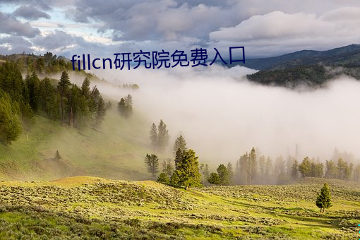 fillcn研究院免費入口
